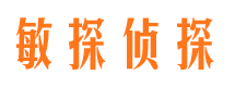 游仙市私家侦探